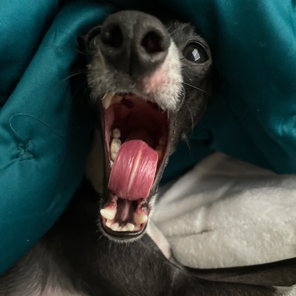 Hey, I’m Lindsay! - Picture 6 of 7